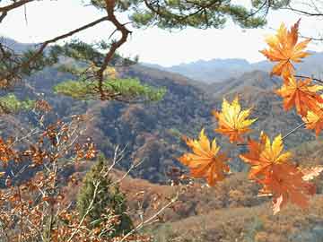 杭州富阳30天气预报查询（杭州富阳天气预报查询一周15天）